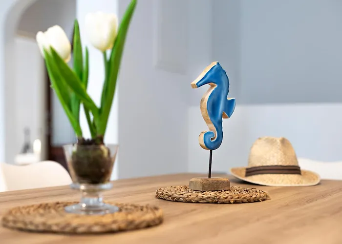 Albercutx Pollentia 1